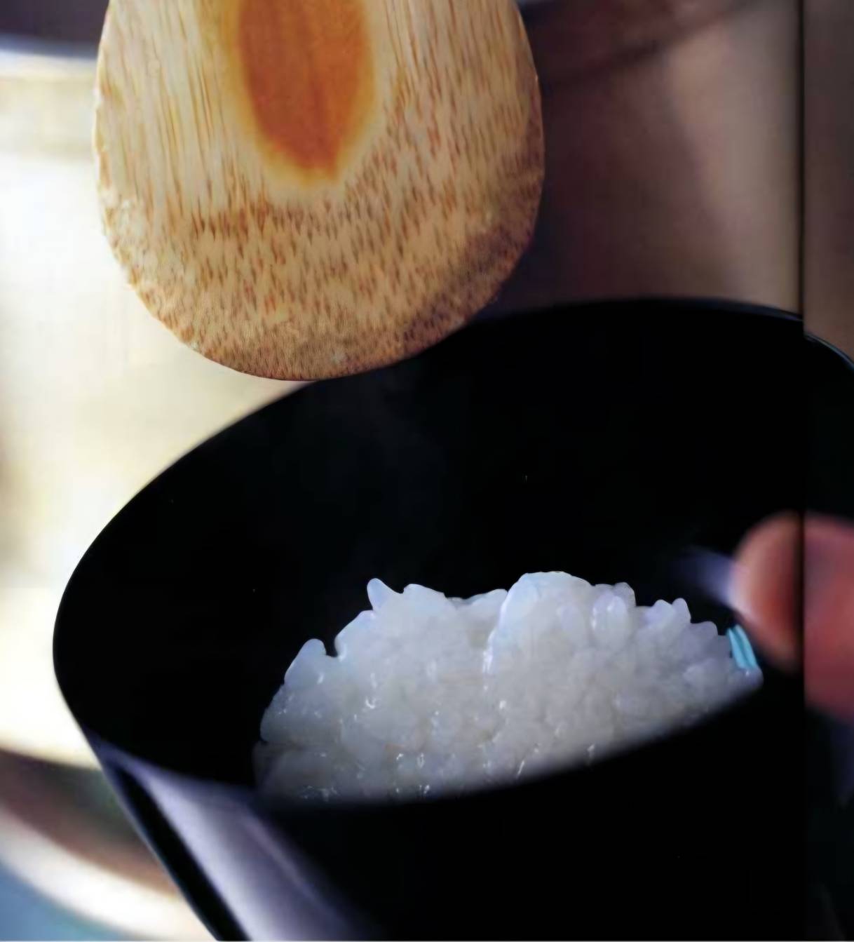 白御飯