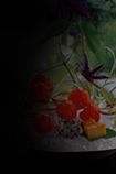 京都スローフード協会 レンッツァスペシャルリポート「無農薬野菜収穫&吉兆風バーベキュー」