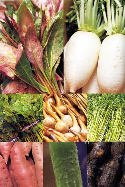 メディア 京都 吉兆 Kyoto Kitcho 懐石料理