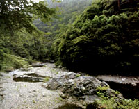 嵐山からほど近い清滝の山中。こぼれんばかりの緑と川の水。大自然に抱かれ、しばし安らぐ。吉兆の最高峰がここに。