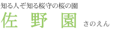 知る人ぞ知る桜守の桜の園　佐野園