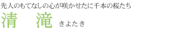 先人のもてなしの心が咲かせたに千本の桜たち　清滝
