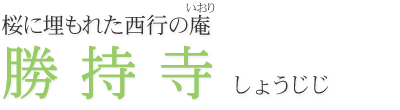 桜に埋もれた西行の庵　勝持寺
