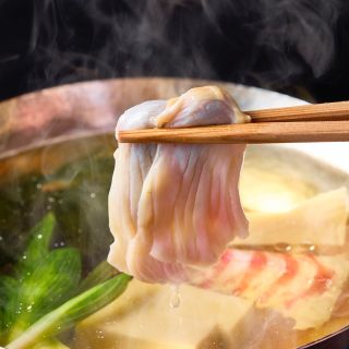 初版　京都吉兆☆(日本語版)☆ 懐石料理「京都吉兆」嵐山本店 | 導入事例 | SAKE CELLAR